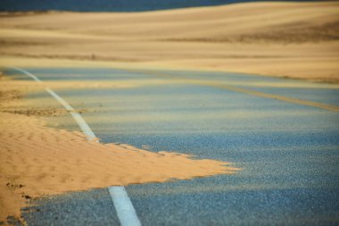 Altın kum Utah 'taki Sand Hollow Eyalet Parkı' ndaki dolambaçlı bir yolu süpürüyor. Güneşli kumullar uzaklara yuvarlanıyor. Macera ruhunu yansıtıyor.