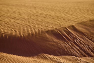 Altın güneş ışığı, Utah 'taki Sand Hollow Eyalet Parkı' ndaki kum tepecikleri üzerinde rüzgarın oluşturduğu karmaşık desenleri vurguluyor. Amerikan çölünün sakin dokusunu ve doğal güzelliğini yakalıyor.