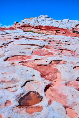 Beyaz cep, Vermilion Cliffs Ulusal Anıtı, Arizona 'da canlı kumtaşı dokuları ve açık mavi gökyüzü altında dramatik beyaz kaya oluşumları ve dokunulmamış vahşi doğanın güzelliği.