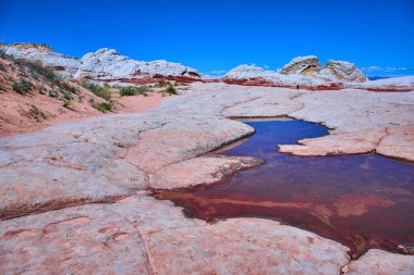 Beyaz cep, Vermilion Cliffs, Arizona 'da mavi yansıtıcı havuzlu canlı pastel-pembe ve beyaz kaya oluşumları, Amerikan Güneybatı Çölü' nün güzelliğini ve yalnızlığını gözler önüne seriyor..
