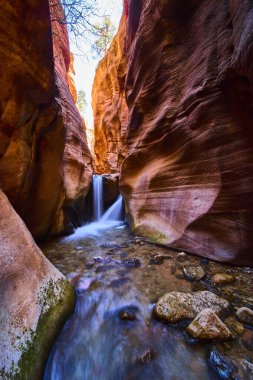Yumuşak bir şelale gibi pürüzsüz kırmızı kumtaşı duvarların üzerinden akan güneş ışığı Kanarra kanyonu Utah 'taki berrak bir dereye dökülüyor. Amerikan Güneybatı' nın dingin güzelliğini ve macerasını yakalıyor.