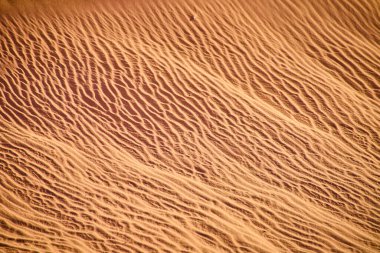 Altın saat ışığı, Sand Hollow Eyalet Parkı 'ndaki rüzgârlı kum tepeciklerinde kum dalgalarını vurguluyor. Utah, çöl manzarasının sakin güzelliğini ve zamansız dokusunu yakalıyor.