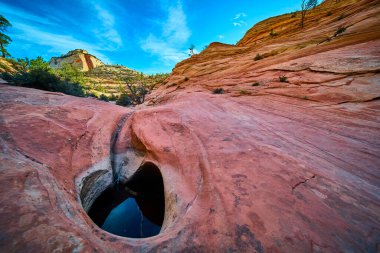 Su dolu bir çukur ile pürüzsüz kırmızı kumtaşı Zion Ulusal Parkı 'ndaki birçok havuz patikasına mavi gökyüzünü yansıtır. Utah dramatik uçurumları ve çöl bitkileri Amerikan Güneybatısının güzelliğini yakalar.