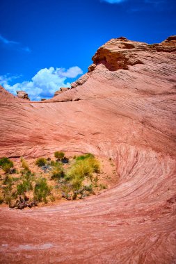 Arizona 'nın yakınlarında Beehive Trail' de parlak mavi bir gökyüzünün altından canlı kırmızı kumtaşı dalgaları yükseliyor. Sert çöl bitkileri bu dramatik güneybatı manzarasında heykel gibi kayalar arasında gelişir..