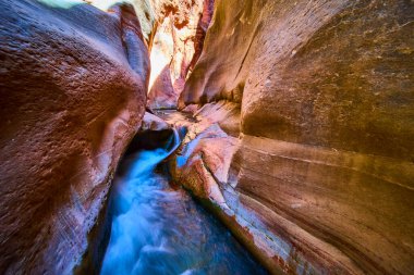 Utah 'taki Kanarra kanyonunun pürüzsüz kırmızı kumtaşı duvarlarından akan canlı akarsu, Amerika' nın güneybatısındaki bu nefes kesici macera ortamında suyun ve zamanın gücünü yakalar.