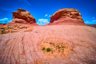 Canlı kırmızı kumtaşı oluşumları, Arizona 'nın yakınlarındaki Arı Kovanı Patikası boyunca masmavi bir gökyüzü altında yükseliyor. Amerika' nın Güneybatı Çölü manzarasının çarpıcı jeolojisini ve engebeli güzelliğini gözler önüne seriyor.