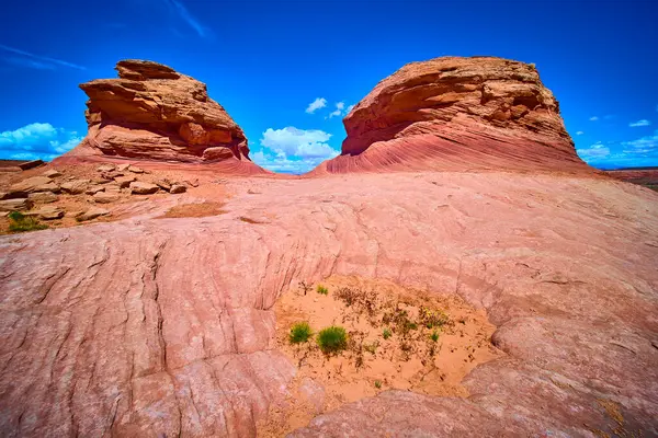 Canlı kırmızı kumtaşı oluşumları, Arizona 'nın yakınlarındaki Arı Kovanı Patikası boyunca masmavi bir gökyüzü altında yükseliyor. Amerika' nın Güneybatı Çölü manzarasının çarpıcı jeolojisini ve engebeli güzelliğini gözler önüne seriyor.