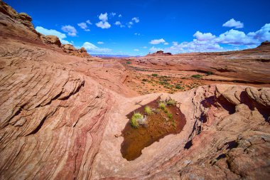 Canlı kırmızı kumtaşı oluşumları ve sığ bir su havuzu, Amerika 'nın güneybatısındaki parlak mavi gökyüzünün altında Arizona Beehive Patikası boyunca sert çöl çiçeklerini ve kaktüslerini selamlıyor.