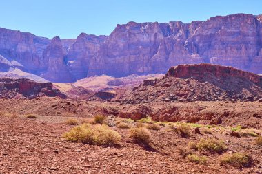 Kızıl kaya kayalıkları Lees Ferry Arizona 'nın kurak çöl zemininden yükseliyor. Canlı mavi gökyüzü ve engebeli kanyonlar Amerika' nın güneybatısının vahşi güzelliğini ve macerasını yakalıyor.