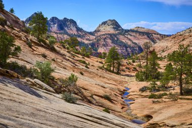 Güneşli kırmızı kumtaşı dalgaları, dayanıklı çam ağaçları ve uzak tepeler Zion Ulusal Parkları 'nı birçok havuz patikası sakin bir dere olarak tanımlar.