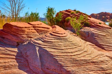 Çarpıcı kırmızı kumtaşı katmanları ve dayanıklı çöl bitkileri Utah Kasırgası yakınlarındaki Sand Hollow Eyalet Parkı 'nın haşin güzelliğini tanımlıyor. Amerika' nın güneybatısındaki jeoloji ve vahşi doğanın çarpıcı bir gösterisi.