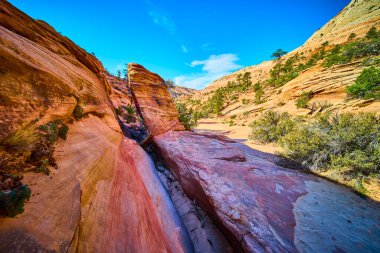 Kum taşı uçurumlarını süpürüyor ve Zion Ulusal Parkı 'ndaki birçok havuz yolu üzerindeki kırmızı kaya oluşumlarını vuruyor. Utah, canlı mavi gökyüzünün altında, Amerika' nın güneybatısının engebeli güzelliğini yakalıyor..