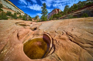 Yağmur suyuyla dolu kum taşı çukuru Utahs Zion Ulusal Parkı 'ndaki gökyüzünü yansıtır. Renkli kayalık ve çam ağaçları birçok havuz yolu boyunca çarpıcı bir çöl manzarası yaratır..