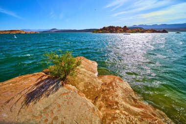 Güneşli kumtaşı kayaları ve Utah 'taki Sand Hollow Gölü' nün turkuaz sularına bakan küçük bir çalı dramatik kırmızı uçurumlar ve açık mavi gökyüzü açık hava macerası için mükemmel bir manzara yaratıyor.