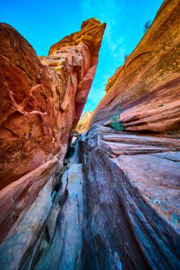 Güneşli kumtaşı duvarlar, Pekçok havuz kanyonu kanyonunda görkemli bir şekilde yükseliyor. Zion Ulusal Parkı Utah, Amerikan Güneybatı vahşi doğasının canlı renklerini ve engebeli güzelliğini yakalıyor.