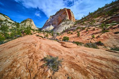 Titrek kumtaşı kayalıkları, engebeli güneşli uçurumlar ve parlak mavi gökyüzü Zion Ulusal Parkı 'ndaki birçok havuz yolunda dramatik bir sahne yaratıyor. Utah, Amerika' nın güneybatısının güzelliğini gözler önüne seriyor.