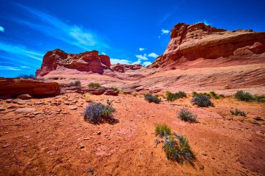 Canlı kırmızı kaya oluşumları çöl çalılarının ve kaktüslerin üzerinde yükseliyor. Arizona 'nın yakınlarındaki Beehive Patikası' nda mavi bir gökyüzü altında Amerikan Güneybatısının engebeli güzelliğini ve zamansız ruhunu gözler önüne seriyor.
