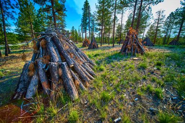 Güneşli bir günde Bryce Canyon Ulusal Parkı Utah 'taki çam ağaçları arasında düzenlenmiş kereste yakma yığınları, ABD' deki orman yangını önleme ve arazi yönetimi çabalarını ön plana çıkarıyor..