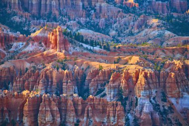 Bryce Kanyonu 'ndaki Bryce Kanyonu Ulusal Parkı Utah' taki sıcak güneş ışığıyla aydınlatılan canlı hudu oluşumları. Renkli manzarayı noktalayan çam ağaçları ve dramatik gölgeler derinlik yaratıyor..
