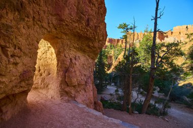 Bryce Canyon Ulusal Parkı 'ndaki Queens Garden Navajo döngüsü boyunca uzanan doğal bir kaya tüneli açık bir gökyüzünün altında parlak kanyon duvarlarıyla güneşli bir patika ve çam ormanı oluşturur..