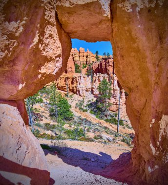 A stunning view through a natural rock arch reveals vibrant hoodoos and pine trees along the Queens Garden Navajo Loop trail in Bryce Canyon National Park Utah under a clear blue sky.