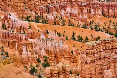 Canlı kabadayılar ve dağınık çam ağaçları Bryce Canyon Ulusal Parkı 'ndaki Sunrise Point' te çarpıcı bir sahne oluşturuyor. Utah, bu eşsiz jeolojiyi ve bu ikonik birleşmiş güzelliğin doğal güzelliğini gözler önüne seriyor.