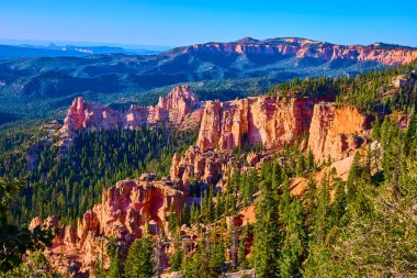 Güneşli kırmızı kaya oluşumları ve yoğun çam ormanları Utah 'taki Bryce Canyon Ulusal Parkı' nda açık mavi gökyüzü altında çarpıcı bir manzara yaratıyor..