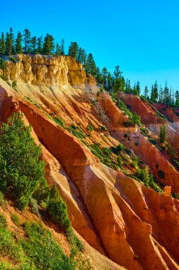 Canlı kırmızı kaya oluşumları ve gür çam ağaçları Utah 'taki Bryce Canyon Ulusal Parkı' nın manzaralı uçurumlarında açık mavi gökyüzünün altında parkların ikonik doğal güzelliğini yakalıyorlar..