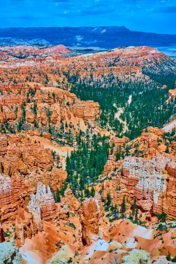 Utah 'taki Bryce Canyon Ulusal Parkı' nın çarpıcı manzarası. Eşsiz, canlı çam ağaçları ve Amerika 'nın güneybatısının özünü yansıtan Sunrise Point' ten dramatik mavi bir gökyüzü..
