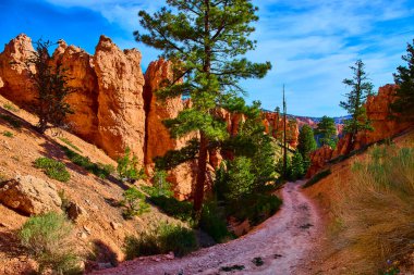 Çam ağaçlarının ve Bryce Canyon Ulusal Parkı Utah 'taki dolambaçlı Peekaboo Döngü Yolu' nun üzerinde dramatik hudu kaya oluşumları doğal güzellik ve macera dolu çarpıcı bir manzara yaratıyor..
