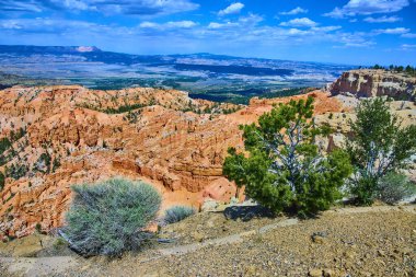 Bryce Kanyonu Ulusal Parkı 'ndaki Bryce Point' in canlı manzarası. Utah, turuncu kabadayılara çarpıyor. Engebeli çöl çalıları ve Amerika 'nın güneybatısındaki parlak mavi gökyüzünün altındaki ardıç ağaçları..