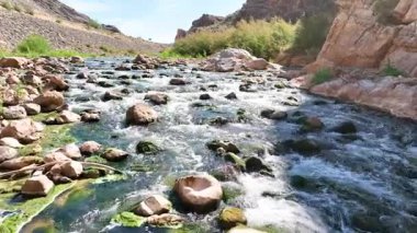 Arizona 'daki Virgin River Vadisi' nin içinden geçen dinamik bir uçuşta hareket ve doğal güzellik hissi için kanyon boyunca akan su kayaları ve yeşil bitki örtüsünü gösteriyor..