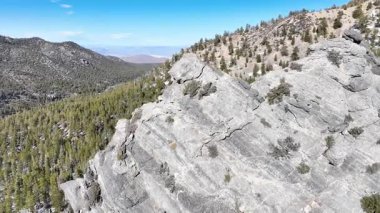 Hava İzleme Çekimi: Las Vegas yakınlarındaki Charleston Dağı 'nın engebeli güzelliğini, çarpıcı kayalık zirveleri ve berrak mavi gökyüzünün altındaki yemyeşil ormanlarıyla keşfedin. Huzurlu bir kaçış doğaya ihtişam