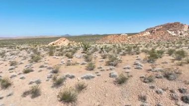 Nevada Bunkerville yakınlarındaki Gold Butte Ulusal Anıtı 'nın havadan uçuşu kumtaşı oluşumlarını çöl bitkilerini ve açık gökyüzünün altındaki uzak dağları gözler önüne seriyor..