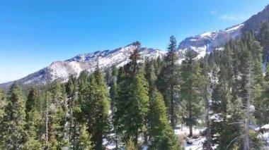 Charleston Dağı 'nın üzerinden uçan hava, karlı tepeleri ve Las Vegas yakınlarındaki yoğun çam ormanlarıyla çarpıcı bir kış manzarasını gözler önüne seriyor..