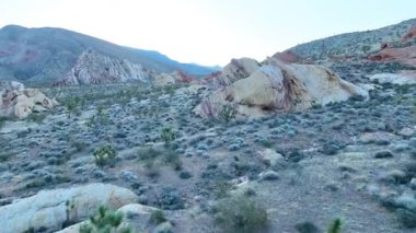 Renkli kumtaşı kaya oluşumlarının üzerinden uçan havadan uçmak ve Altın Göt Ulusal Anıtı Nevada 'daki Joshua ağaçları dramatik çöl dokularını ve sakin akşam ışığını yakalıyor.