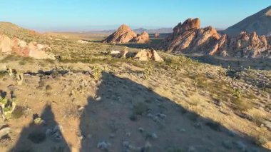 Bunkerville Nevada yakınlarındaki Gold Butte Ulusal Anıtı 'ndaki çölde kırmızı ve bronz kaya oluşumları arasında uçarak Whitney Pocket' i ve sıcak ve engebeli araziyi gösteriyor.