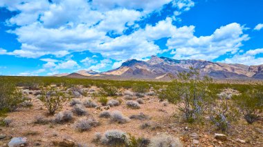 Geniş çöl manzarası, engebeli dağlar ve dağınık mavi bir gökyüzü altında yumuşak bulutlu çalılar.