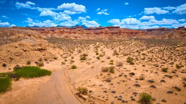 Uçsuz bucaksız çöl arazisi dağınık çalılarla kızıl kaya kayalıkları ve gün ortası güneşi altında parlak mavi gökyüzü.