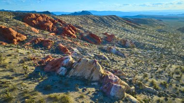 Nevada 'daki Gold Butte Ulusal Anıtı' nda renkli kaya oluşumları ve çöl bitkileri. Açık mavi gökyüzünün altında Whitney Pocket 'in hava manzarası var.