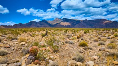 Uçsuz bucaksız çöl arazisi, kayalık dağlar ve kaktüsler, parlak mavi gökyüzü ve dağınık bulutlar altında.
