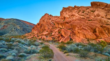 Altın saat güneş ışığı kırmızı kaya oluşumlarını aydınlatıyor ve Whitney Pocket in Gold Butte Ulusal Anıtı Nevada 'da çalı çırpı ve Joshua ağaçlarıyla çevrili çöl yolunu aydınlatıyor.