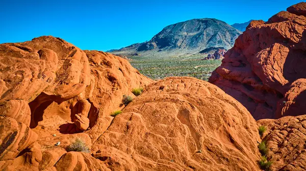Doğal kemerli parlak kırmızı kumtaşı kayaları ve seyrek bitki örtüsü engebeli bir dağ ve geniş bir çöl. Altın Göt Ulusal Anıtı Nevada 'da, açık mavi gökyüzünün altında.