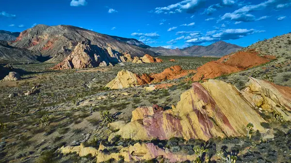 Renkli kaya oluşumları ve Joshua ağaçları, mavi Nevada gökyüzünün altında yükselen engebeli Whitney Pocket dağları ile Gold Butte Ulusal Anıtı 'nın çorak manzarasını dolduruyor.