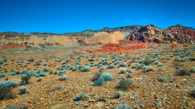Uçsuz bucaksız kayalık çöl, parlak çalılar ve katmanlı kırmızı ve sarı kaya oluşumlarıyla berrak mavi gökyüzünün altında.