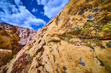 Nevada 'daki Gold Butte Ulusal Anıtı' nın engebeli uçurumlarına ve canlı gökyüzüne karşı liken ve yosunla kaplı detaylı çöl kayaları.