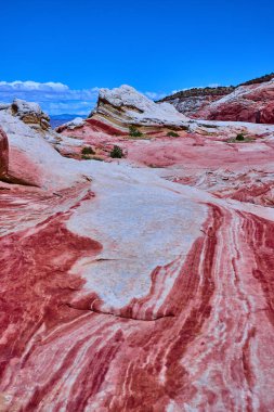 Beyaz cep, Vermilion Kayalıkları, Mermer Kanyon, Arizona 'da parlak mavi gökyüzünün altında hareketli kum taşı oluşumları ve renkli kaya katmanları Amerika' nın güneybatısının dramatik güzelliğini gözler önüne seriyor..