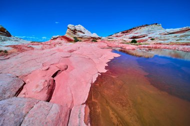 Canlı pembe kumtaşı ve dönen kaya oluşumları Vermilion Cliffs Ulusal Anıtı Arizona 'daki White Pocket' da sığ bir havuzda bu uzak çöl manzarasının gerçeküstü güzelliğini yansıtıyor.