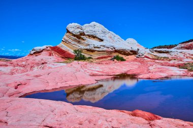 Canlı kumtaşı katmanları ve nadir bir su yansıması Vermilion Cliffs Ulusal Anıtı Arizona 'daki Beyaz Cep' in çarpıcı jeolojisini vurguluyor Mermer Kanyon Çölü 'ndeki açık mavi gökyüzünün altında