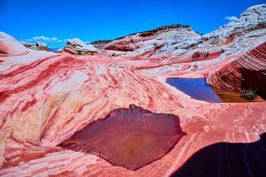 Yürüyüşçüler Marble Canyon Arizona yakınlarındaki Vermilion Cliffs Ulusal Anıtı 'ndaki canlı kumtaşı dalgalarını ve aynalı havuzları araştırıyorlar. Jeoloji ve doğal maceranın çarpıcı bir örneği.